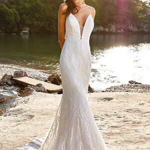 Eddy K Isadora DR1914